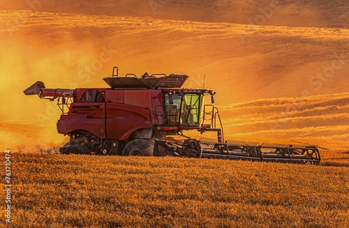 Harvesting wheat in the setting sun 