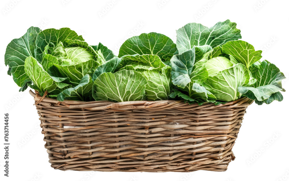 Basket of Cabbages isolated on transparent Background Basket of Cabbages isolated on transparent Background