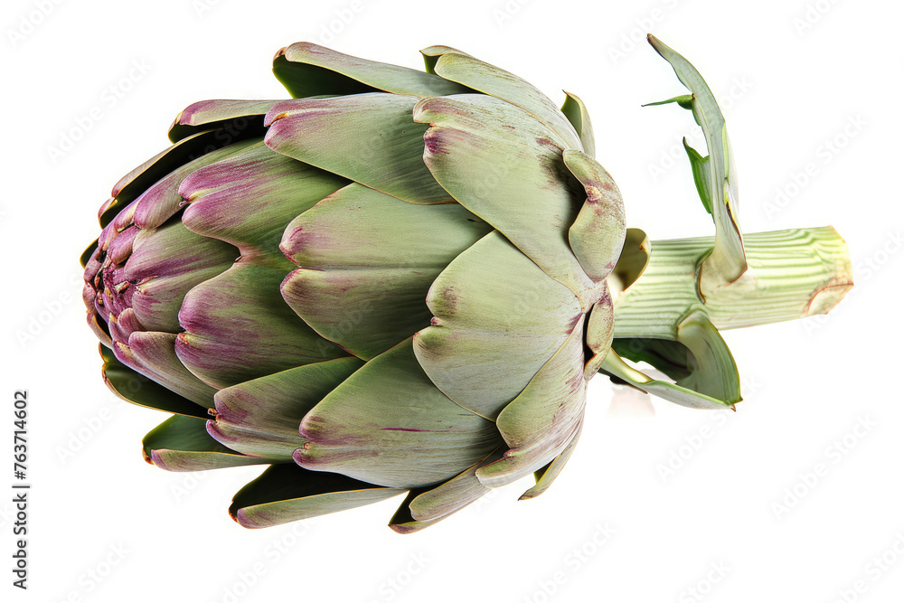 Obraz premium artichoke on white background