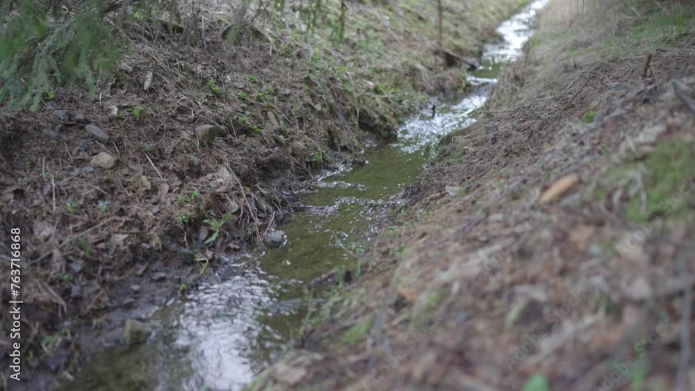 The stream in the forest bed is gaining strength. Awakening nature in spring on a cold morning. The stream in the forest bed is gaining strength. Awakening nature in spring on a cold morning.