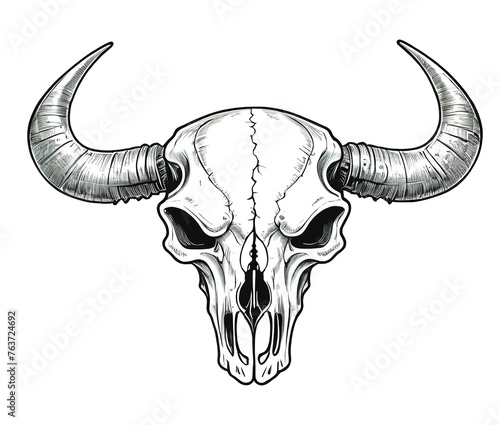 head skull cow horn transparent background