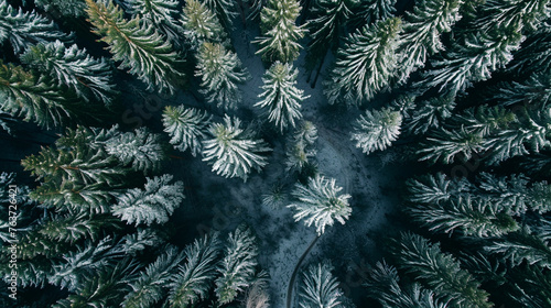 Top view of dark green forest landscape in winter. Aerial nature scene of pine trees. Generative Ai