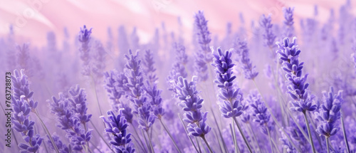 Collection of Purple Lavender flowers blooming in soft pastel bright colors on a vast natural spring floral wide background created with Generative AI Technology