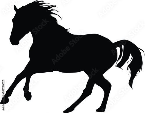 Horse silhouette illustration in vector