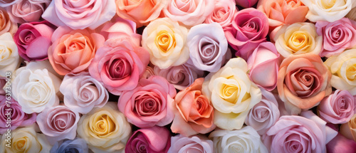 Collection of Colorful Roses flowers blooming in soft pastel bright colors on a vast natural spring floral wide background created with Generative AI Technology 