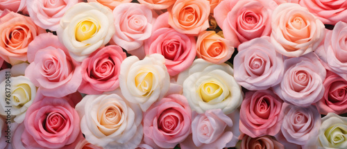 Collection of Colorful Roses flowers blooming in soft pastel bright colors on a vast natural spring floral wide background