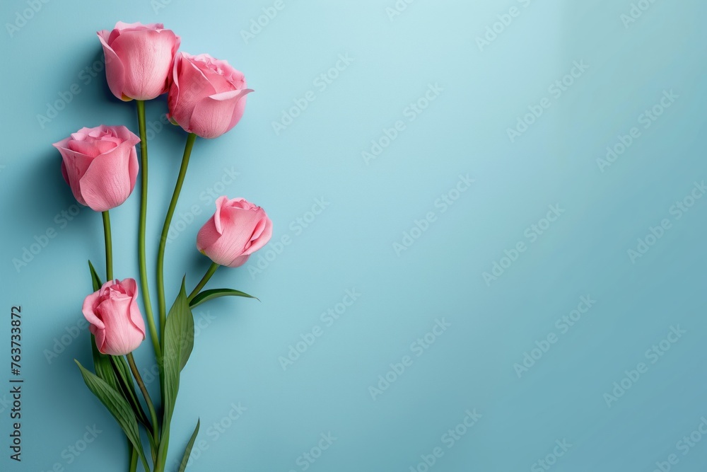 Pastel pink tulips arranged diagonally on a light blue background, Concept of floral art and simplicity Pastel pink tulips arranged diagonally on a light blue background, Concept of floral art and simplicity