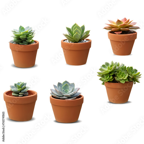 Group of succulent plants in terracotta pots, isolated on transparent background Transparent Background Images
