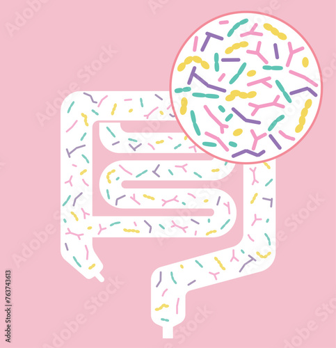 健康な腸内細菌、プロバイオティクスのデザイン図