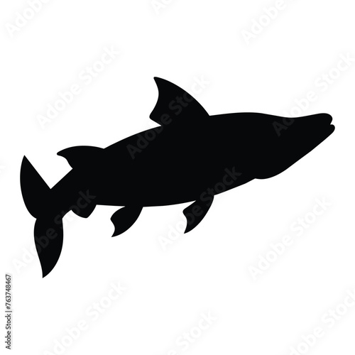 Silhouette of a Pike fish on white