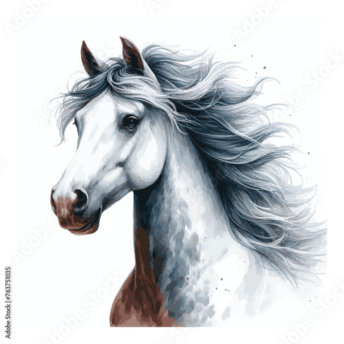 watercolor of horse illustration