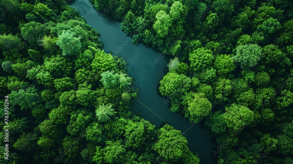 A thread running through a forest linking together the different