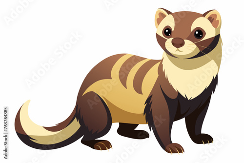 ferret the wild animal vector arts illustration © Mohammad