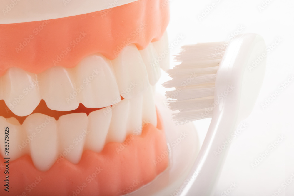 Obraz premium 歯磨き