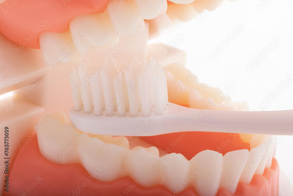 Obraz premium 歯磨き