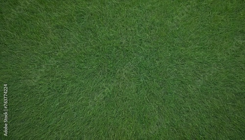 A top view of green grass filling the entire frame
