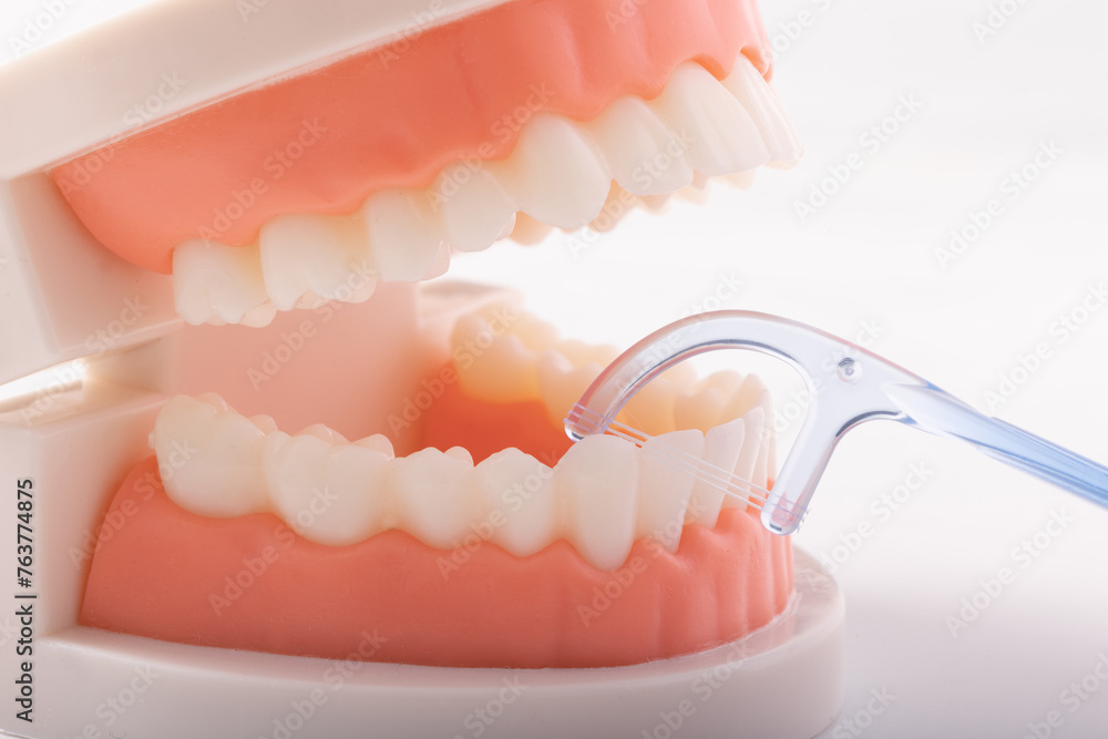 Obraz premium フロスピック