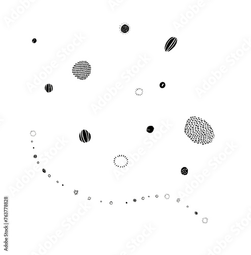 種　模様　胞子