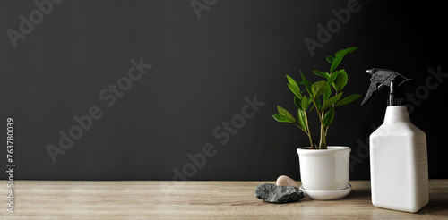Succulents in white pot and water sprayer on wooden table. Preparation to water and fertilize plants. Dark background © Gintare Stackunaite
