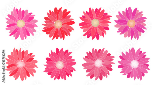 Set of pink flowers vector illustration. White background.