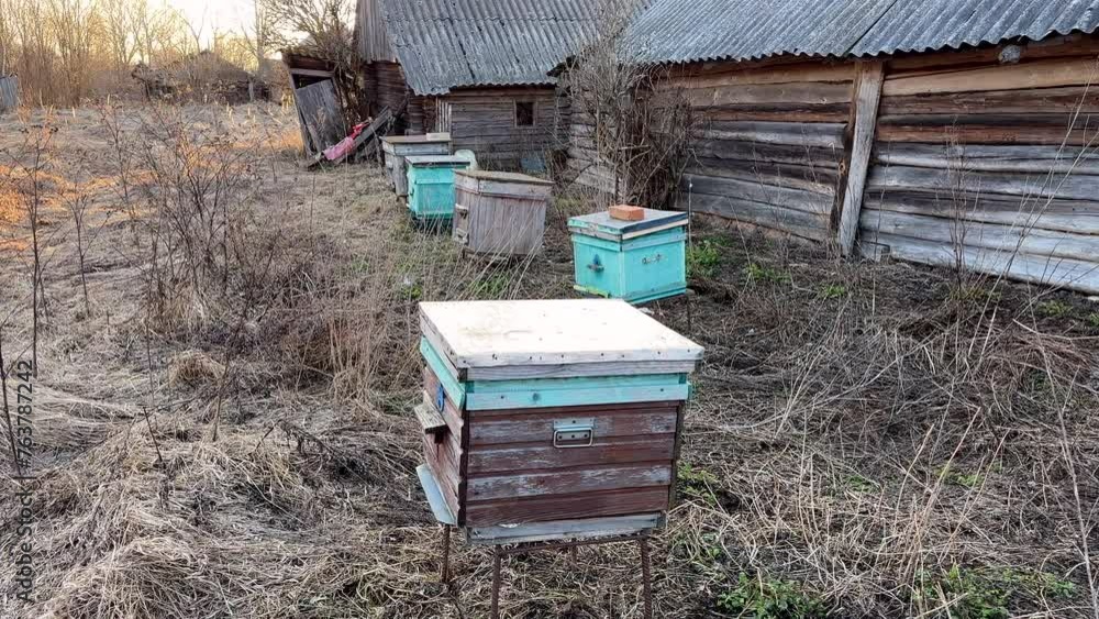 Apiary. Honey production bee farm. Beekeeping in rural. Wooden Beehives in Apiary. Collection of Hives with Colonies of Bees Kept for Honey. Hives of bees. Beehives in countryside. Bee keeping Honey Apiary. Honey production bee farm. Beekeeping in rural. Wooden Beehives in Apiary. Collection of Hives with Colonies of Bees Kept for Honey. Hives of bees. Beehives in countryside. Bee keeping Honey