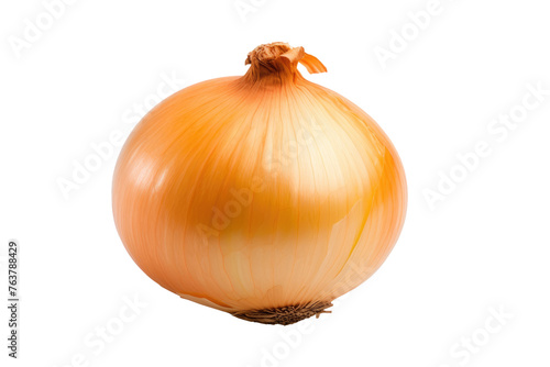 Onion on White Background. On a White or Clear Surface PNG Transparent Background.