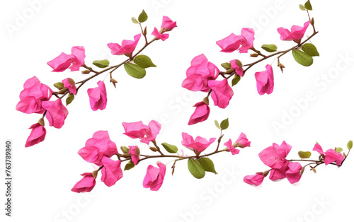 Branch of Pink Flowers With Green Leaves. On a White or Clear Surface PNG Transparent Background.
