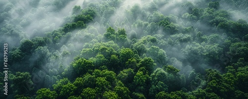 Capture the essence of serenity and tranquility in a high-angle shot of a lush green forest, with mist gently settling over the trees, conveying a sense of peace and rejuvenation photo
