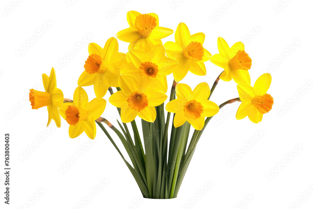 Yellow Flowers in Vase on Table. On a White or Clear Surface PNG Transparent Background.