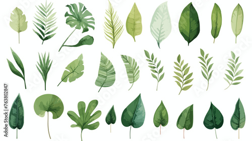 Plant elements. tropical collection. illustration 