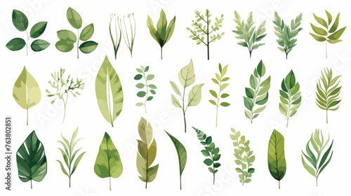 Plant elements. tropical collection. illustration 