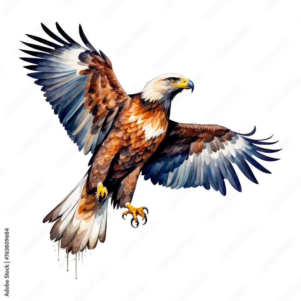 Obraz premium Watercolor painting of Eagle, in in flight, vector illustration, eagle portrait art, bird, brown, crafting, greeting invitation cards, journal, presentation, design project, cutout, white background