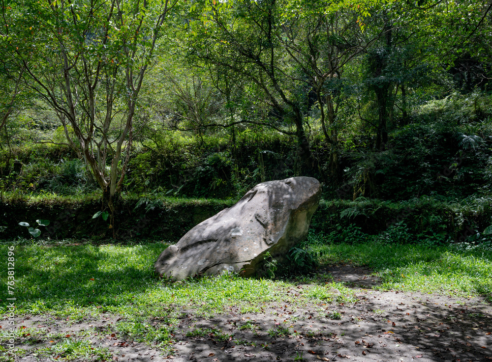 Big stone hidden in the forest looks like a frog, in Zhongken historic trail, New Taipei City, Taiwan. Big stone hidden in the forest looks like a frog, in Zhongken historic trail, New Taipei City, Taiwan.