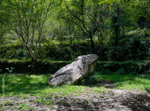 Big stone hidden in the forest looks like a frog, in Zhongken historic trail, New Taipei City, Taiwan.