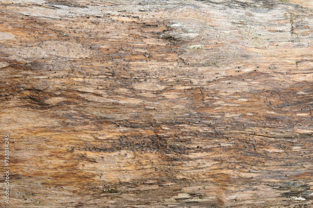 A detailed look at the grain, texture, and patterns on an aged wooden surface. A detailed look at the grain, texture, and patterns on an aged wooden surface.