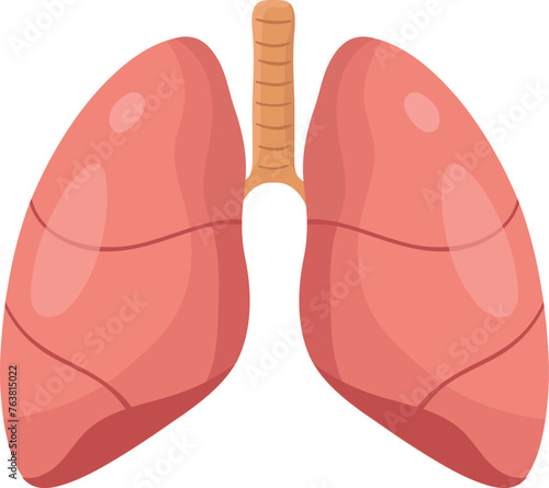 Cartoon lungs. Human health illustration. Respiratory organ