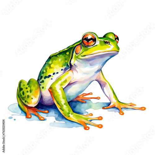Frog watercolor painting, Frog, animal, vector illustration, clipart, cute adorable, for craft projects, invitation cards, cut out on white background
