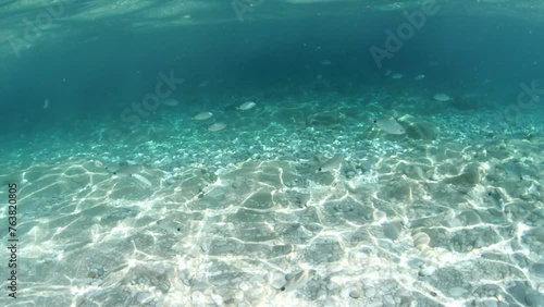 Tranquil underwater view with sunlight filtering through clear blue water onto a pebbly sea floor in Elba island in Italy. Tuscan archipelago marine reserve and Fetovaia beach. photo