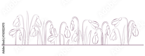 snowdrop flowers outline