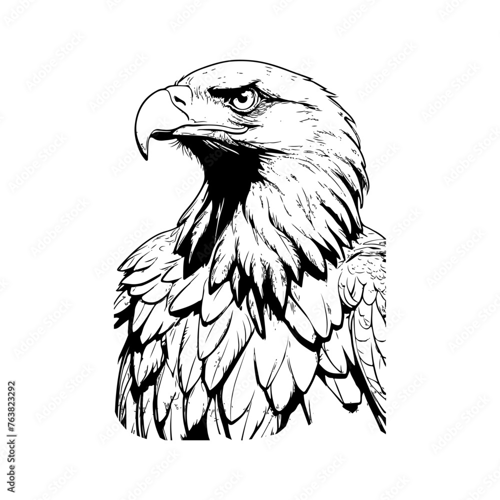 Fototapeta premium Black and white line art of a majestic eagle
