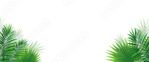 Jungle plants template background. Tropical border frame vector illustration with copy space. Rainforest amazon foliage wallpaper. Green tropic pattern with coconut palm leaf, monstera, areca palm