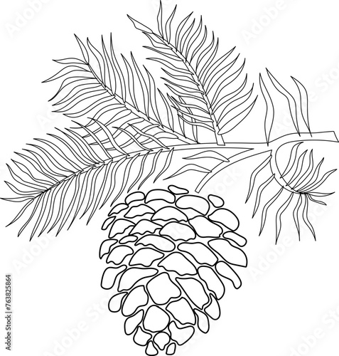 Pine branch with pinecone in vintage style hand drawn