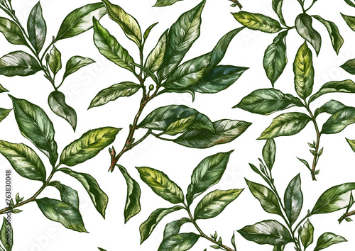 Branch with leaves of green tea. Seamless pattern, background. Vector illustration. In botanical style