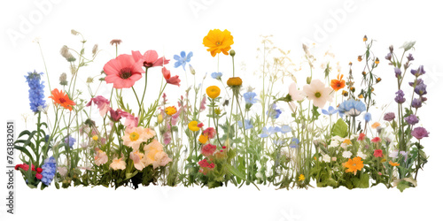 PNG outdoor nature flower garden. with a transparent background