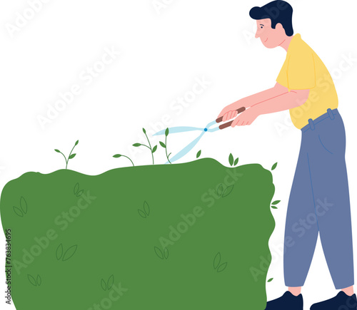 Man trim green bush with sheers. Gardener cut plants