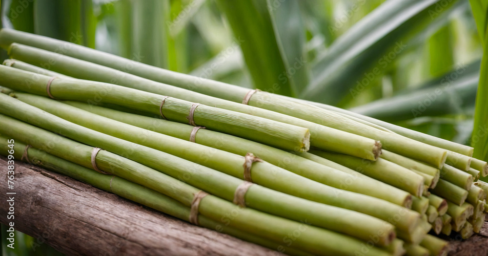 Obraz premium Close-up of fresh sugarcane stalks, showcasing the raw natural texture of the crop used in food and drink production