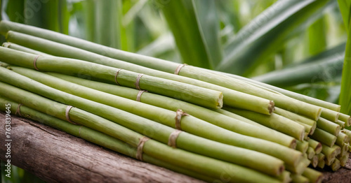 Close-up of fresh sugarcane stalks  showcasing the raw natural texture of the crop used in food and drink production