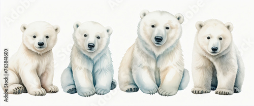 Set of watercolor Polar bear characters isolated on Transparent background colorful background