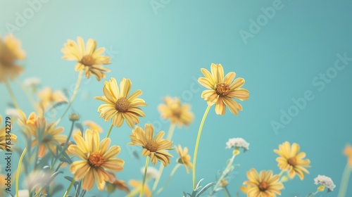 Yellow wild flowers against blue background