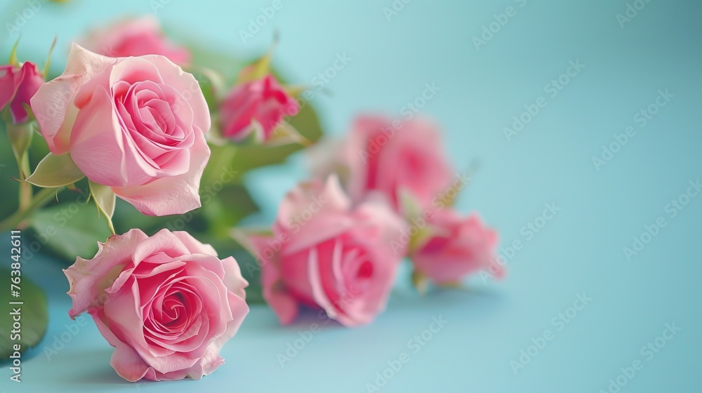 Romantic pink roses Romantic pink roses